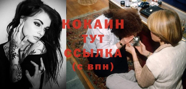 МДПВ Алексин