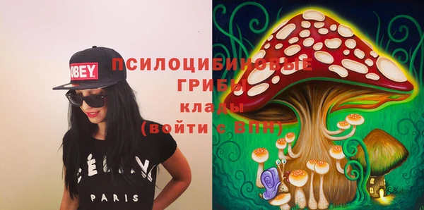МДПВ Алексин